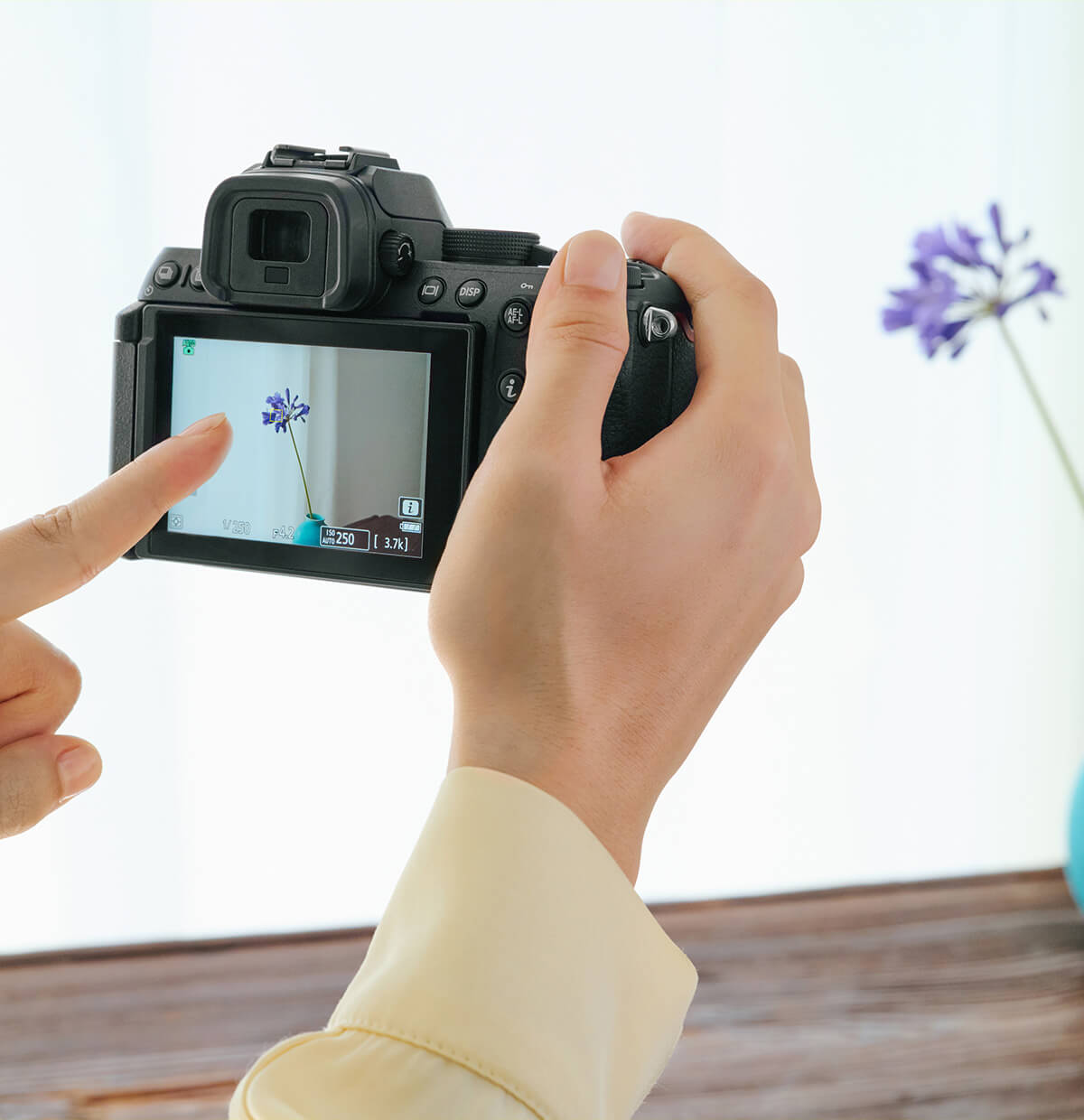 Layar sentuh Nikon Z50 II