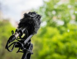 Mau Buat Konten ASMR? Ini 5 Rekomendasi Microphone ASMR di 2025 5 Mau Buat Konten ASMR? Ini 5 Rekomendasi Microphone ASMR di 2025